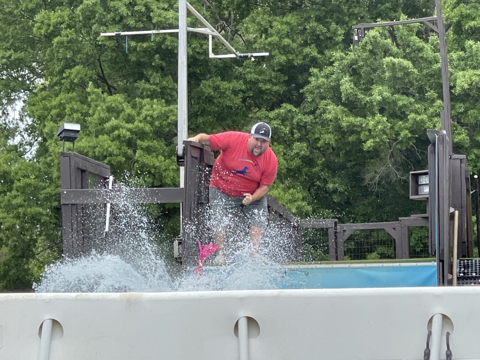 Dock Diving What You Need To Know A Life of Dogs